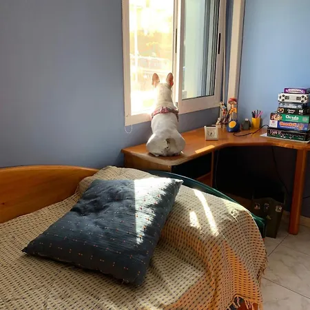 Balcon De بيت للعطل